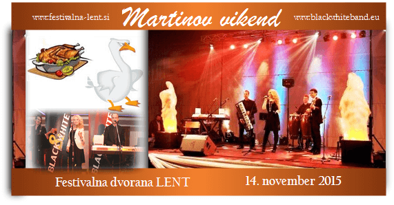 plesni-vecer-martinovo