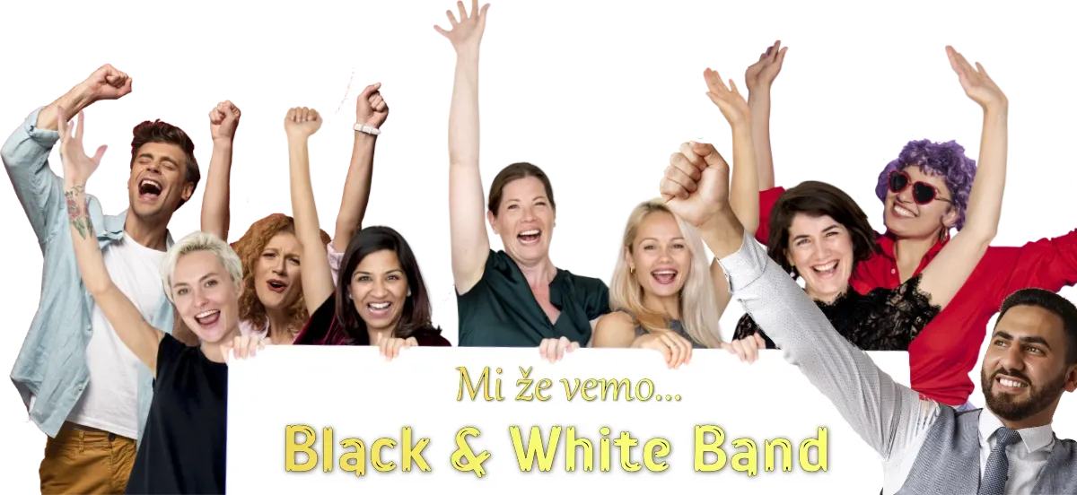 glasba-zabava-publika